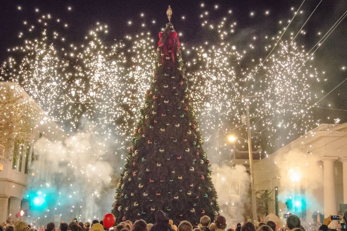 Natchez Lights Up Annual City Tree